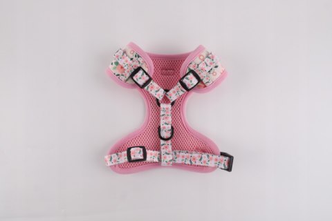 Stylowy zestaw spacerowy dla psa obroża smycz szelki bandana muszka XS