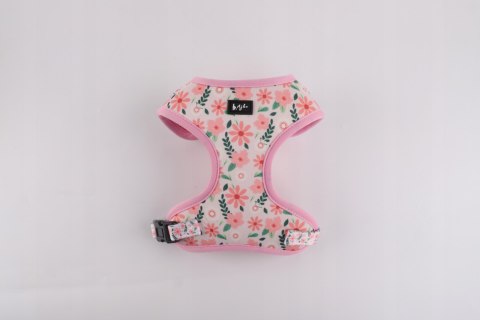 Stylowy zestaw spacerowy dla psa obroża smycz szelki bandana muszka XS