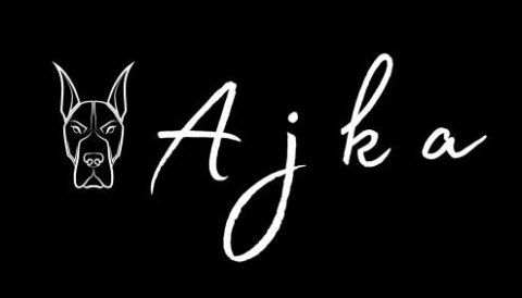 Świetny zestaw spacerowy dla psa obroża smycz szelki apaszka muszka roz.S