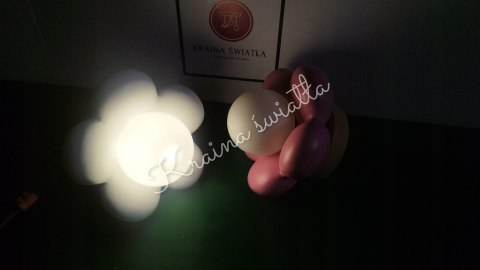 UROCZA LAMPA SUFITOWA ŚCIENNA RÓŻOWY KWIATEK DZIEWCZYNKA **Kraina światła
