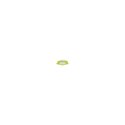 Lampa sufitowa plafon Fiore LED zielony